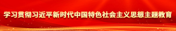 暴操美女在线观看学习贯彻习近平新时代中国特色社会主义思想主题教育