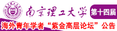 和美女操逼视频91南京理工大学第十四届海外青年学者紫金论坛诚邀海内外英才！